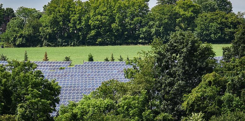 Susquehanna's 14-acre solar array.